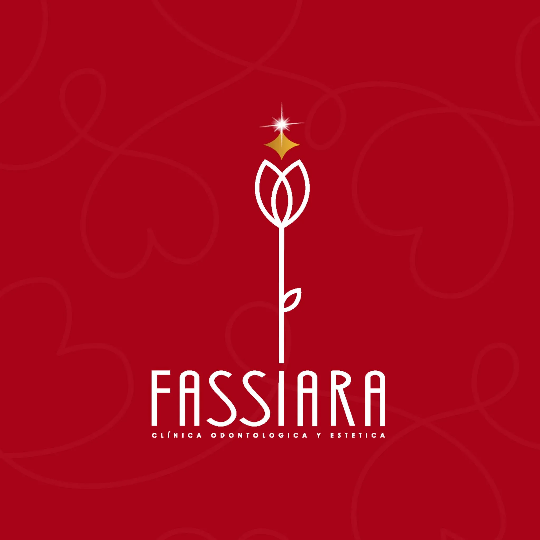 Odontológica y Estética "Fassiara"